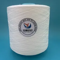 Hilo de Coser Brillante 100% Poliéster Hilado Ne 60/3 de Alta Resistencia, Ecológico e Impermeable para Bordado de Punto de Cruz