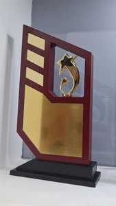 ถ้วยรางวัลไม้ที่ทนทานสำหรับกีฬา โรงเรียน และกิจกรรมทางวัฒนธรรม - Product Image 2