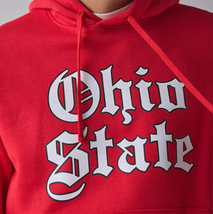 Sudaderas con Capucha de Felpa de Algodón Grueso Unisex Personalizadas de Fábrica, Ecológicas, de Invierno, de Alta Calidad, Talla Grande - Product Image 2