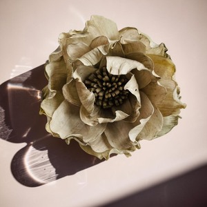 VADEE Premium Vintage Rose Ivory Sola Wood Flowers Sustainable Craft Handmade 10 cm Sesbania Plant <b>Stick</b> Home Star Magnolia - Product Image 4