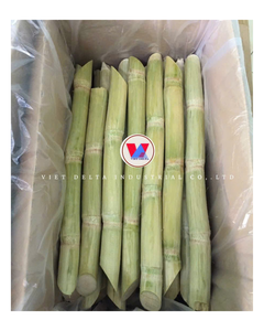 Canne à sucre surgelée fraîchement récoltée pour les bars à jus, les restaurants et les marchés alimentaires importés, procédé IQF, emballage en vrac - Product Image 1