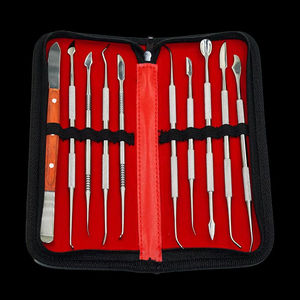 Mejor Precio, Juego de 10 Instrumentos de Modelado Dental Manuales de Alta Calidad, Acero Inoxidable y Cerámica, Aprobado por CE e ISO, Surgiright - Product Image 4