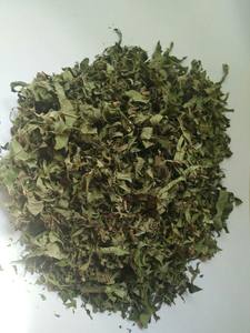 Hojas de Guayaba Secas Premium – Naturales, Saludables, de Grado Premium para Té y Uso Herbal // Mr.Tom - Product Image 6