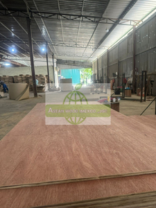 Vietnam Eucalyptus Core Plywood with Bintangor Veneer <b>for</b> Furniture & Interior Panels - Product Image 2