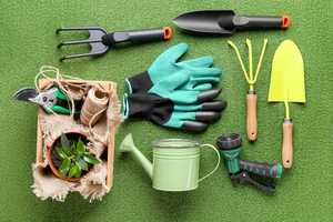 ZYDAR SPORTS Ensemble d'outils de jardinage et de cuisine en acier inoxydable étanche, conception anti-rides pour la plantation, le creusement, le désherbage et la transplantation - Product Image 1