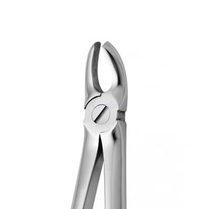 Pinzas de Extracción Dental de Raíz Inferior, Acero Inoxidable, Pico Delgado, Alicates para Extracción de Dientes, Instrumento Quirúrgico Oral - Product Image 2