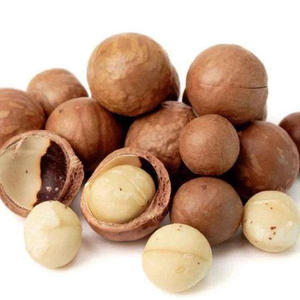 Nueces de macadamia de calidad alimentaria, la mejor calidad, baratas, en venta - Product Image 2