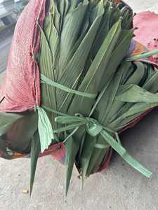 HOT SALE Blue Lotus Bamboo Leaves 2025 Clean Dried Leaves for <b>Food</b> - Product Image 4