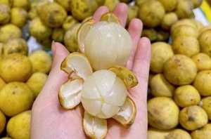 Nueva Cosecha 2026 de Fruta Langsat Bon Bon Congelada de Vietnam, Fruta Tropical Congelada - Product Image 2