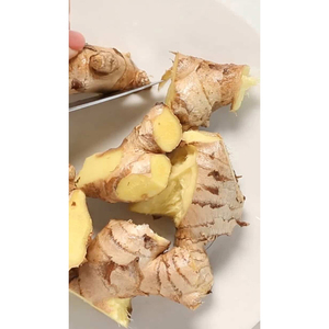 Gingembre frais de qualité supérieure, qualité d'exportation, approvisionnement en vrac, racines de gingembre récoltées à la ferme pour les supermarchés et les entreprises de transformation alimentaire - Product Image 5