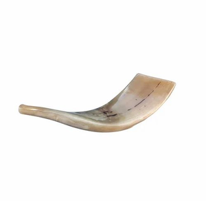 Cuerno Shofar RAM, Instrumento Musical, Estilo Náutico Animal, Material Orgánico Pulido, Tamaño Personalizado, Mejor Calidad, FAIZA CRAFT - Product Image 4