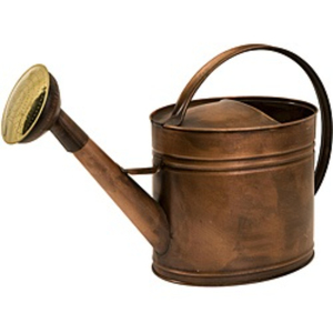 Regadera de Acero Galvanizado de 1 Galón Estilo Vintage con Asas de Cobre y Regadera Metálica Resistente al Óxido con Diseño de Rosa Extraíble - Product Image 5