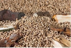 Pienso de Hojas de Moringa de Alta Calidad a Precio Competitivo para Ganado y Cerdos, Exportación Directa, Proveedores Mayoristas, Buen Embalaje - Product Image 4