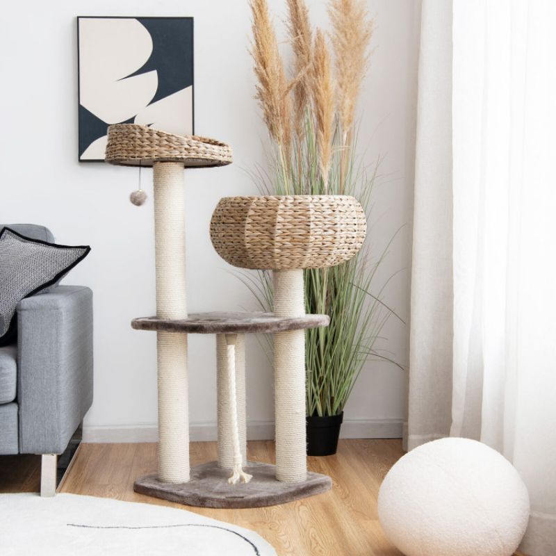 Couleur beige