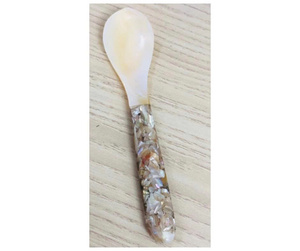 Cuchara de concha natural diseñada para la degustación profesional de caviar y una elegante presentación gastronómica en la mesa. - Product Image 1