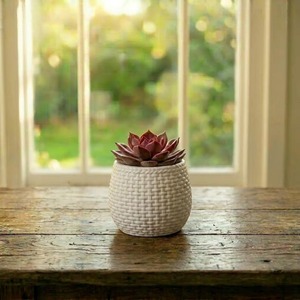 Ensemble de 3 pots à succulentes en résine rustique, pots tressés pour décoration de bureau intérieure, couleurs blanc, marron, terre cuite, provenant d'Inde - Product Image 3