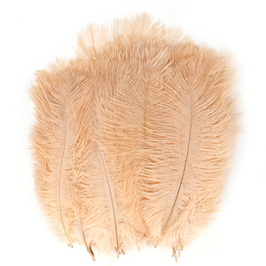 Plumes d'autruche fraîches en gros, qualité supérieure, pour acheteurs B2B et commandes d'exportation - Product Image 4