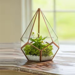Premium Accent Metal Terrarium Glass Plant Holder Elegant Indoor Garden Display Box Home Decor - Product Image 6