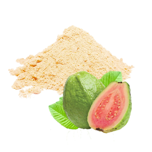 Guava Powder 0.5g Food Grade <b>Spray</b> Dried Fruit Extract Polyphenols Rich Natural Health Supplement All Seasons Use From Gujarat - Product Image 6