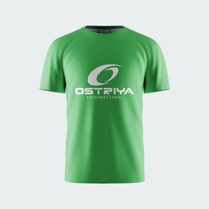 T-shirts décontractés pour hommes à manches courtes en polyester/coton, imprimés sérigraphiés, coupe classique, séchage rapide, écologiques, respirants, 180g, couleur unie - Product Image 1