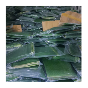 Feuilles de banane congelées, feuilles de banane vertes pour emballages alimentaires, wraps de légumes tropicaux, pour raviolis de riz et tamales - Product Image 1