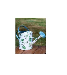 Regadera metálica de calidad para el cuidado de plantas, uso en interiores y exteriores, acabado resistente al óxido, boquilla larga, agarre ergonómico - Product Image 1