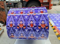 Bobine en acier prépeint PPGI RAL enduit de couleur pour toiture, clôture, porte de garage ou panneau mural