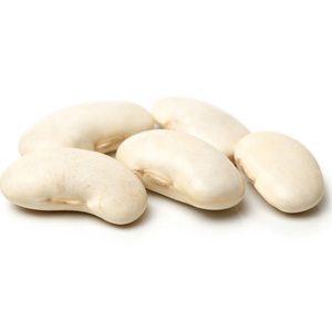 Venta al por mayor de frijoles blancos de primera calidad a precio económico - Product Image 4