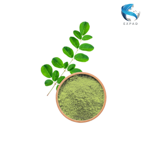 Meilleur prix : Feuilles de Moringa biologiques combinées avec poudre de Moringa du Vietnam, mouture fine, en sac refermable, directement de l'usine. - Product Image 6