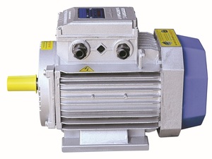 Motor IP55 220V-50Hz-60Hz a prueba de goteo/IP55, motor asíncrono de CA con carcasa de hierro fundido a prueba de goteo, núcleo de cobre, precio de fábrica - Product Image 5