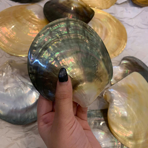 Handmade Mother of Pearl Plate Vietnam Shell Material for Jewelry Storage Serving Plate Decor Polished Use - Product Image 1