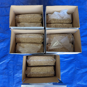 เมล็ดเม็ดมะม่วงหิมพานต์ Kaju santigo - Product Image 1