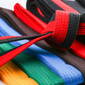 Ceintures de karaté, arts martiaux, judo, BJJ, taekwondo en coton de différentes couleurs - Product Image 2