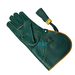 Gant de fauconnerie professionnel en cuir véritable pour homme – Gant de protection extra long et robuste pour l'entraînement des faucons et des aigles - Product Image 1