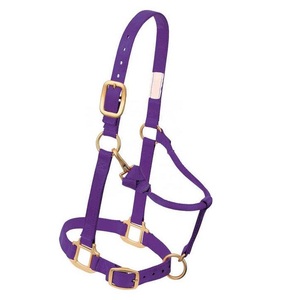 Harnais de cheval en cuir réglable avec rembourrage en fourrure, accessoire d'équitation pour l'entraînement des chevaux, doté d'une boucle réglable - Product Image 5