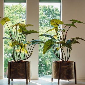 Wall Planters Round Metal Powder Coated Hanging <b>Bracket</b> <b>for</b> Garden Outdoor Use - Product Image 1