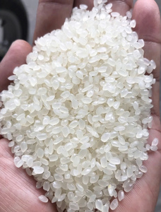 ข้าวญี่ปุ่นสำหรับซูชิ สายพันธุ์เซาท์เมกง เวียดนาม เตี้ยนเจียง ข้าวแห้ง เมล็ดสั้น คุณภาพมาตรฐาน หัก 5% สีขาว อายุการเก็บรักษา 2 ปี ผลผลิตใหม่ - Product Image 3
