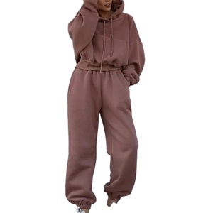 2025 personnalisé femmes épais polaire Chenille Patch à capuche survêtement survêtement solide motif hiver pull avec broderie Chenille - Product Image 3