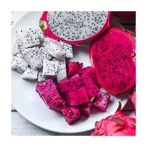 Dragon Fruit Congelé Sain IQF Rouge et Blanc, en Dés, Fruits Tropicaux Naturels en Gros pour Boissons - Product Image 4