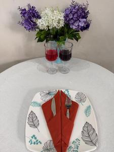 Servilletas de Tela Hechas a Mano 100% Algodón, Servilletas de Mesa Rústicas de Lino, Servilletas Tejidas Estampadas en Rollo, Desechables para Bodas y Uso en la Cocina - Product Image 2