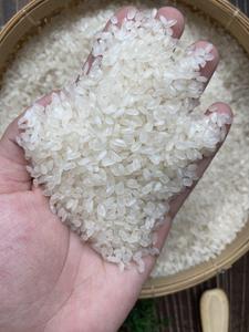 Arroz Japonica Calrose para Sushi a Granel, Arroz de Grano Redondo de Primera Calidad para Platos Japoneses, 25 kg 50 kg con la Mejor Oferta de Descuento - Product Image 6