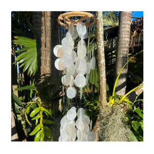 Conchas de Capiz de Color Blanco Natural, Conchas Redondas de Abulón, Discos de Madreperla Natural para Manualidades, Decoración del Hogar para Eventos Navideños - Product Image 5