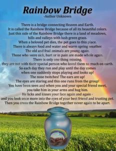 Urne funéraire pour animaux de compagnie Rainbow-Bridge, conteneur pour cendres, souvenir pour animaux, chien, chat, élégante, durable, qualité supérieure - Product Image 2