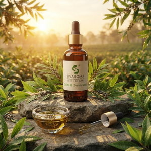 Fournisseur d'huile essentielle d'arbre à thé de qualité supérieure pour les cosmétiques, les soins personnels, les savons, les mélanges de parfums et les commandes en gros - Product Image 6