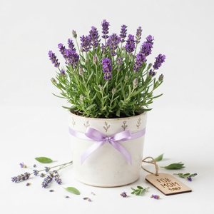 6mm Lavender Single Face Satin <b>Ribbon</b> Customizable Wholesale 350 Meter Roll for <b>Wedding</b> Favors Spa Gift Boxes Retail Packaging - Product Image 2