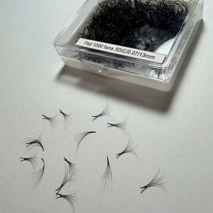Extensions de cils Promade faites à la main, volume 2D-20D, courbure C CC D, mixtes, longueurs variées, base pointue, 0,07 mm - Product Image 3