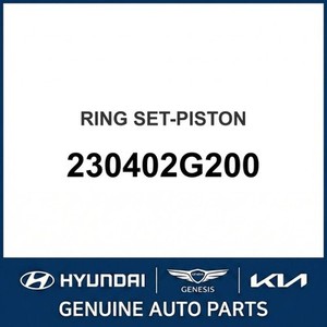 Pistons et segments neufs Grandeur/Azera 230402G200 - Product Image 1