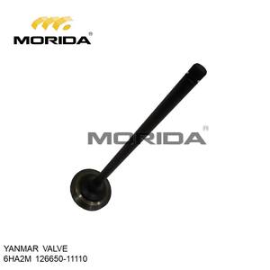 VALVE 6HA2M-HT 12665011110 pour YANMAR - Product Image 2