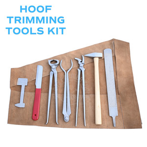 Kit de Herramientas Profesional para Herrador en Estuche: Herramienta para Quitar Herraduras, Alicates Curvos, Pinzas para Llamaras, Cuchillo para Herraduras, Lima, Pulidor y Martillo - Product Image 4