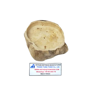 Bol en bois flotté naturel pour reptiles, ornement écologique pour animaux de compagnie, fabriqué au Vietnam - Product Image 3